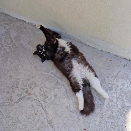 Casa Di Tuco Bed and Breakfast Κονελιάνο