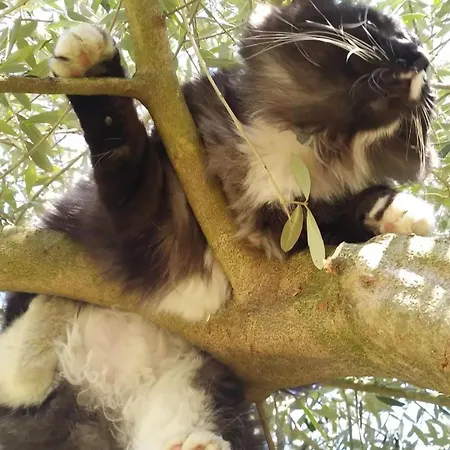 Bed & Breakfast Casa Di Tuco 3*