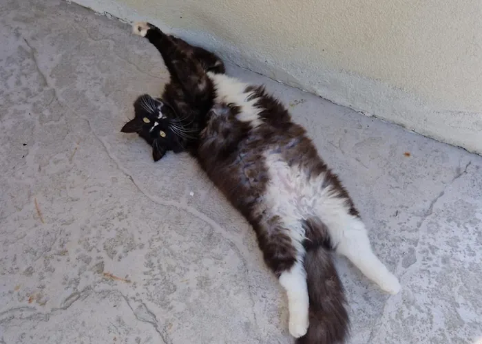 Casa Di Tuco Bed & Breakfast Conegliano