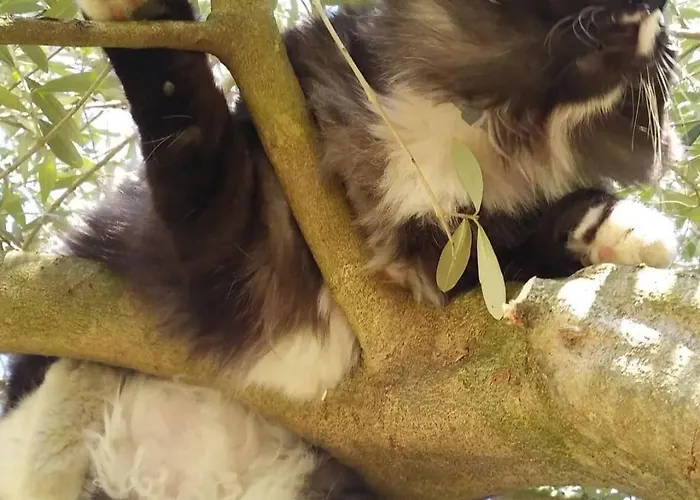 Bed & Breakfast Casa Di Tuco 3*